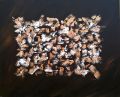 PICATCHOUC - LES ABSTRAITS
