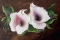 Arums - FLORALES