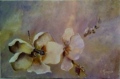 cathy-garceran-peintre - FLORALES