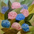 HORTENSIUS - FLORALES