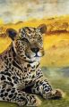 Safari - CHEMIN FAISANT