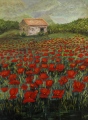 CABANON AUX COQUELICOTS - LA PROVENCE