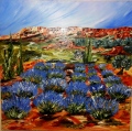 ROCANDIE - LA PROVENCE